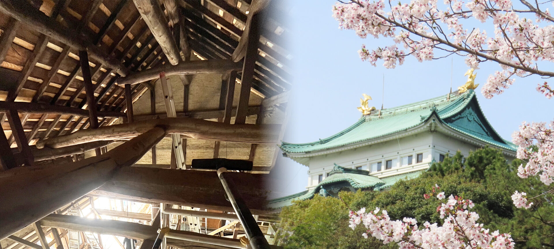 slider01 株式会社葵住建